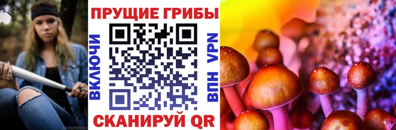kraken зеркало  Рудня  Псилоцибиновые грибы мухоморы 